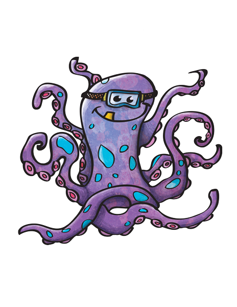 octopus